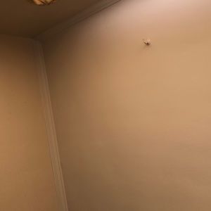 Meet your Posher, Dawnmarie